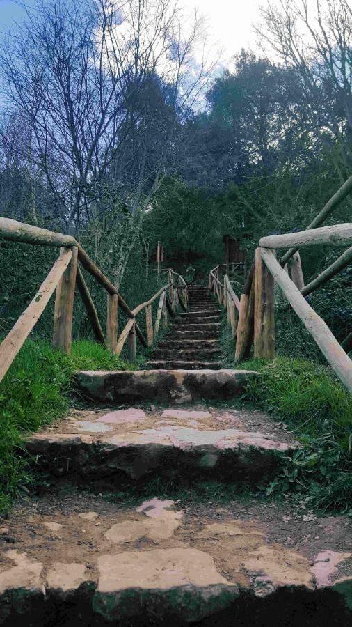Casa Rural La Ossa オッサ・デ・モンティエル エクステリア 写真